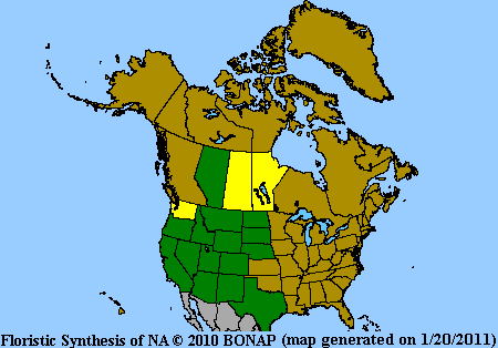 Oenotherac range map